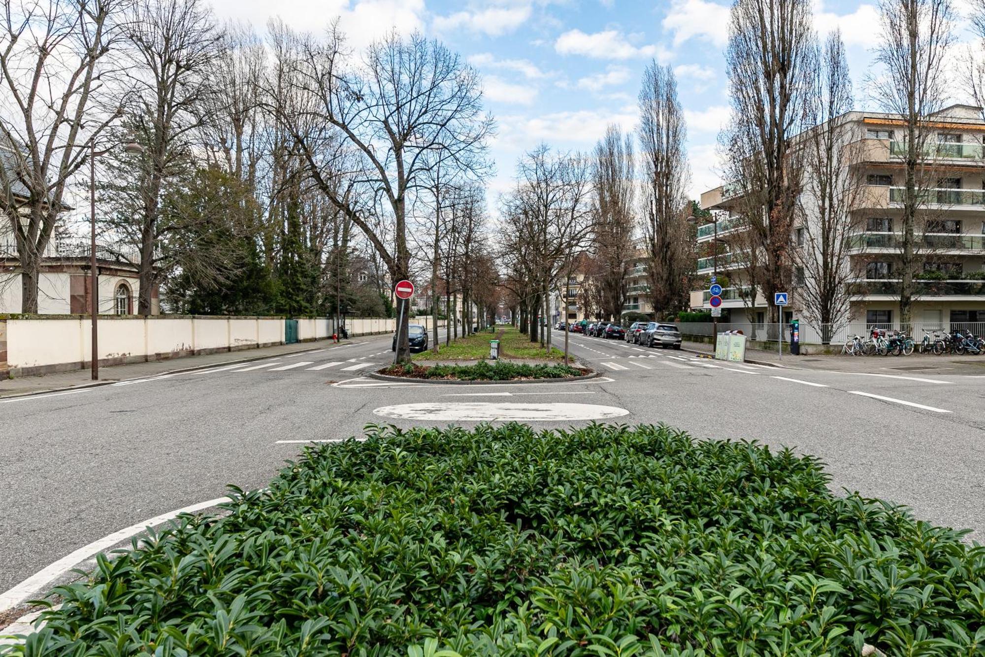 Strasbourg Chaleureux Studio, Orangerie Dış mekan fotoğraf